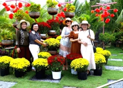 Cồn Én điểm hẹn hoàng hôn giữa sông Tiền