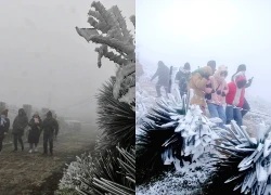 Đêm nay miền Bắc có nơi lạnh 2,5 độ C, có thể có băng giá