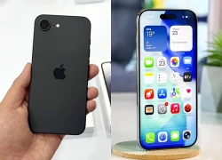 Liên tục giảm giá, hai mẫu iPhone này vẫn kén khách tại Việt Nam