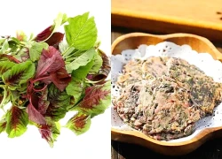 Loại rau chứa lượng axit folic gấp 17 lần dưa chuột, canxi gấp 3 lần cải bó xôi, đem làm món ăn sáng cực hấp dẫn