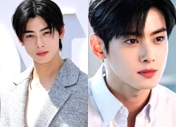 Cha Eun Woo: Mang tiếng đẹp trai nhưng bất tài, mất sự nghiệp vì trốn thuế