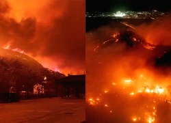 Cháy rừng nghiêm trọng ở Hàn Quốc