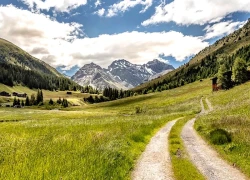 Có gì ở Davos, nơi cả thế giới đang theo dõi ông Trump?