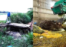 Công ty xả thải chưa qua xử lý ra sông Vàm Cỏ Tây ở Tây Ninh