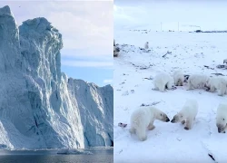 Cuộc đua ở Bắc Cực: Nga đang đi trước, Mỹ để lộ thế bị động