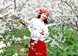 Hoa mận khoe sắc ở thôn Quán Dín Ngài