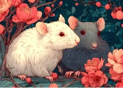 Không có khái niệm yêu thầm: 4 con giáp đã thích là hành động ngay