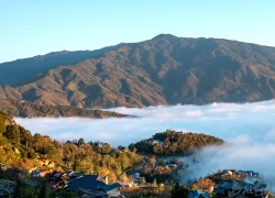 Lên Tà Xùa 'săn' biển mây bồng bênh, ngắm đào rừng khoe sắc