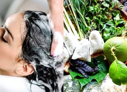 Liệu pháp thảo dược giúp nuôi dưỡng tóc và da đầu mùa đông