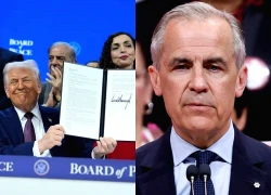 Mỹ rút lời mời Canada tham gia Hội đồng Hòa bình