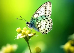 Tử vi tiết lộ 5 khung giờ sinh được coi là 'mệnh có của'