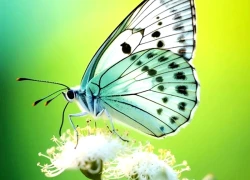 Nếu cuộc sống quá vất vả đừng nản lòng: Sinh vào những ngày Âm lịch này thành công thường đến muộn