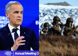 Pháp kêu gọi NATO tập trận ở Greenland, sẵn sàng tham gia