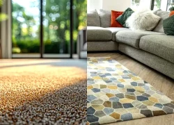 Phát cảnh báo cho tất cả các gia đình có thảm trong phòng khách