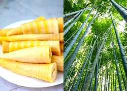 Phát hiện mới: Măng có thể là 'siêu thực phẩm' cho đường huyết và tim mạch