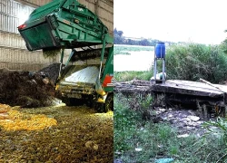 Phát hiện một doanh nghiệp xả thải trực tiếp ra sông Vàm Cỏ Tây