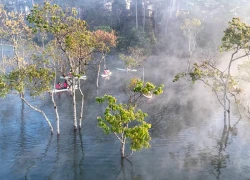 Suối Tía điểm dã ngoại hoang sơ khiến du khách mê mẩn