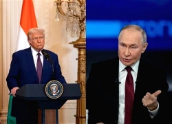 Tổng thống Trump gửi thông điệp tới Nga sau khi gặp lãnh đạo Ukraine
