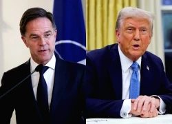 Tổng thư ký NATO: Châu Âu nên vui mừng khi ông Trump nắm quyền