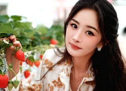 Trúng số độc đắc sau 16h30 chiều nay (23/1/2026), 3 con giáp chính thức hết khổ, đổi vận đại gia, hốt tiền hốt bạc của thiên hạ, nhà xe chờ sẵn