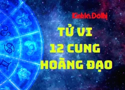 Tử vi ngày 24/1/2026 của 12 cung hoàng đạo: Song Tử không nên quá tin tưởng người khác
