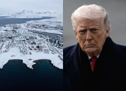 Vấn đề Greenland phơi bày thế phụ thuộc chiến lược của châu Âu vào Mỹ