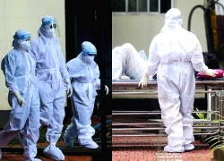 5 điểm khiến virus Nipah trở nên đặc biệt nguy hiểm