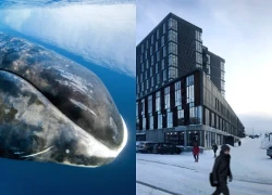 7 điều lạ lùng ở Greenland, càng đọc càng kinh ngạc