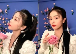 Bạch Lộc 'đốn tim' người hâm mộ với loạt ảnh hậu trường đầy hoa