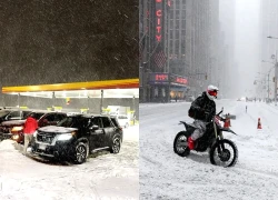 Bão tuyết lịch sử tại Mỹ: Cú sốc toàn diện từ kinh tế đến hạ tầng