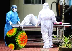 Bộ Y tế khuyến cáo biện pháp chủ động phòng ngừa virus Nipah, cần thực hiện gấp