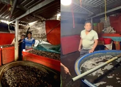 Cảnh sát đột kích xưởng làm 3.000 tấn ốc bươu 'ngậm' hóa chất ở TP HCM
