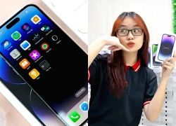 Chiếc iPhone Pro Max trông rất thời thượng, cứng cáp và chụp đẹp để du Xuân