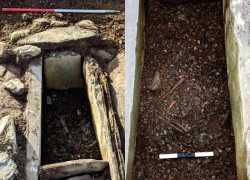 Đang cày ruộng thì phát hiện thứ lạ có niên đại 4.000 năm, người nông dân không tin vào mắt mình