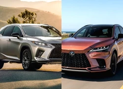 Đối thủ của Lexus RX trình làng: Công suất 340 mã lực, giá hơn 2,8 tỷ đồng
