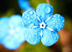 Đúng 18h ngày mai, thứ Hai 26/1/2026, 3 con giáp có mệnh số dát vàng, tiền của gấp bội, chạm tay vào may mắn, thành công trải thảm hồng