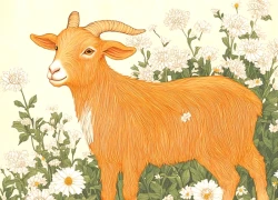 Đúng hôm nay, Chủ nhật ngày 25/1/2026, 3 con giáp rũ bùn đứng dậy, rước lộc vào nhà, may mắn ngập lối, vàng bạc đầy nhà, giàu có chạm nóc