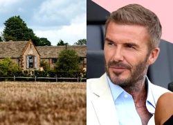 Khối tài sản kếch xù của gia đình Beckham