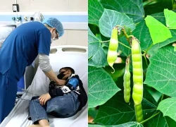 Bé nhập viện vì ngộ độc hạt củ đậu, bác sĩ cảnh báo nguy cơ tiềm ẩn