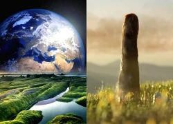 Một nhánh mới của sự sống Trái Đất vừa lộ diện?