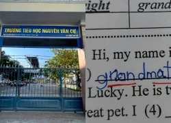Tạm đình chỉ giáo viên bị tố sửa bài kiểm tra, "dìm" điểm hàng loạt học sinh