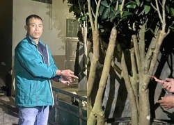 Trộm 2 cây cảnh, người đàn ông ở Lâm Đồng bị khởi tố