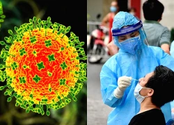 Virus Nipah trỗi dậy, kịch bản kinh hoàng thời COVID-19 tái hiện gây lo lắng?