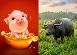 3 con giáp Trúng số đổi đời trong 7 ngày tuần tới