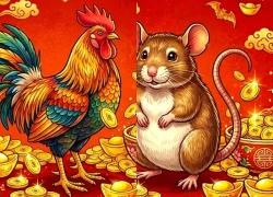 Tháng 10, 11, 12/2026: Top 3 tuổi công việc hanh thông, càng về cuối năm càng kiếm nhiều tiền