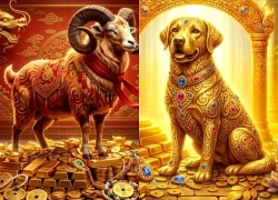 5 ngày liên tục (2/10-7/10): 3 tuổi Công Việc Hanh Thông, Mưa Tiền Đổ Bộ