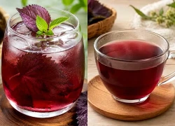 Có nên uống nước lá tía tô thay nước lọc?
