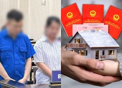 Đôi vợ chồng dùng chiêu “làm sổ đỏ”, dễ dàng lừa chiếm đoạt hơn 12 tỷ đồng