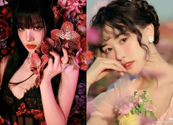 Đúng 16h30 ngày mai, Chủ Nhật 4/10/2026, 3 con giáp như 'chuột sa hũ nếp', tiền tài viên mãn, sự nghiệp gặt hái thành quả xứng đáng