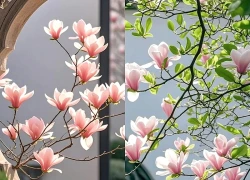 Ngày sinh Âm lịch của đứa trẻ có vận may đồng hành suốt cuộc đời